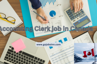 Accounting Clerk Job