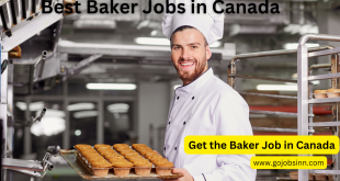Amazing Baker Jobs In Canada