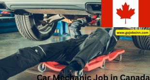 Car Mechanic Job