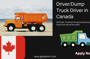 Driver/Dump Truck Driver