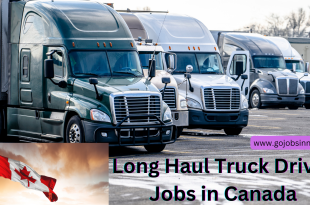 Long Haul Truck Driver Job in Canada