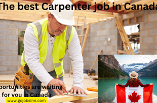 Best Carpenter job in Canada