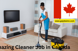 Cleaner Job in Canada