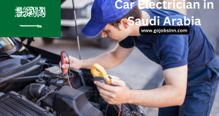 Car Electrician