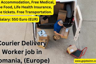 Courier Delivery Worker