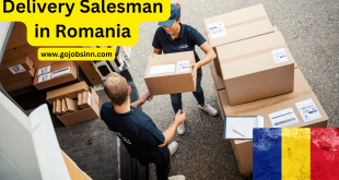 Delivery Salesman