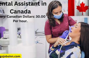 Dental Assistant