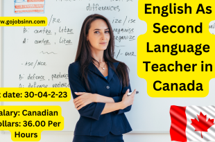 English As Second Language Teacher