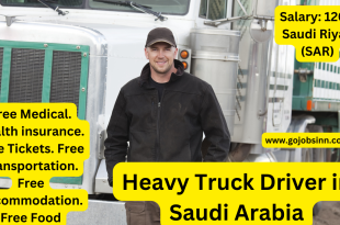 Heavy Truck Driver